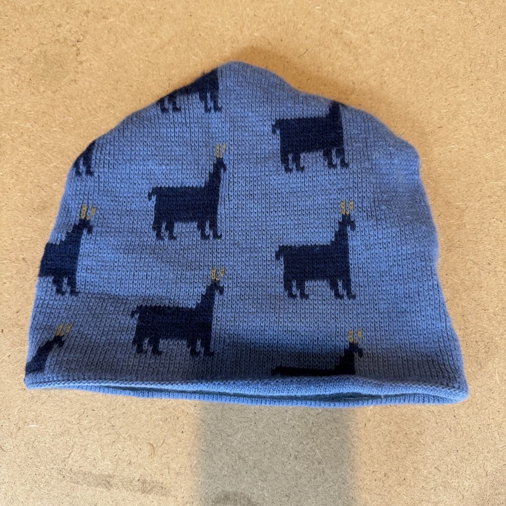 RARE Vintage Patagonia Wool Blend Knit Alpaca Print Beanie 1980s Made in France